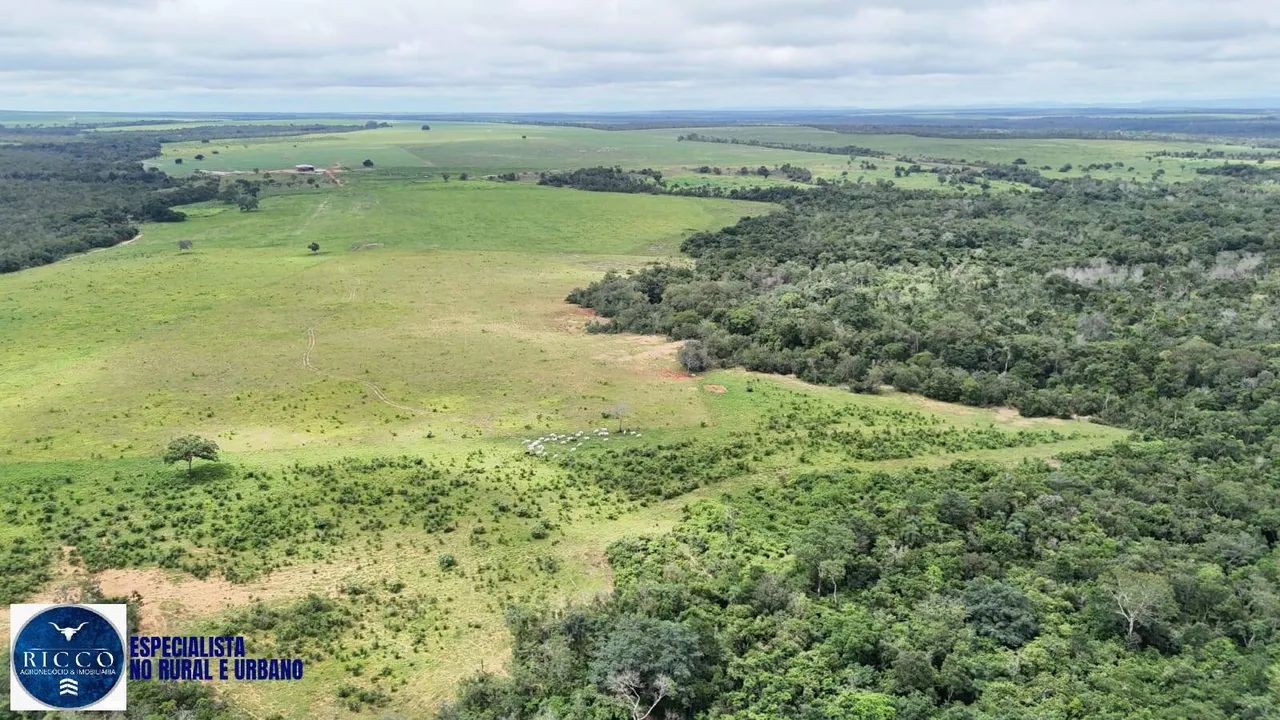 Fazenda à Venda em Colinas  TO | 1.598 Hectares - Foto 5
