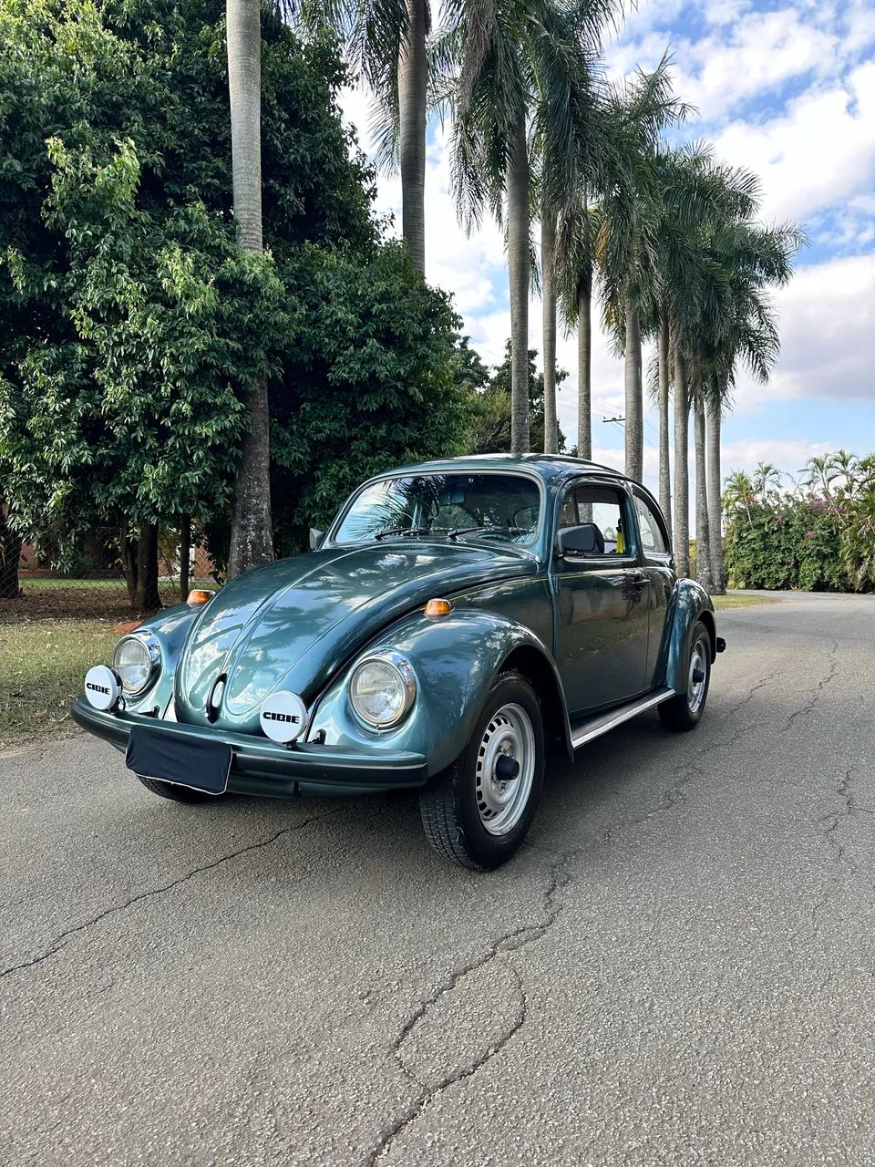 Volkswagen Fusca Fusca (gasolina) 1994