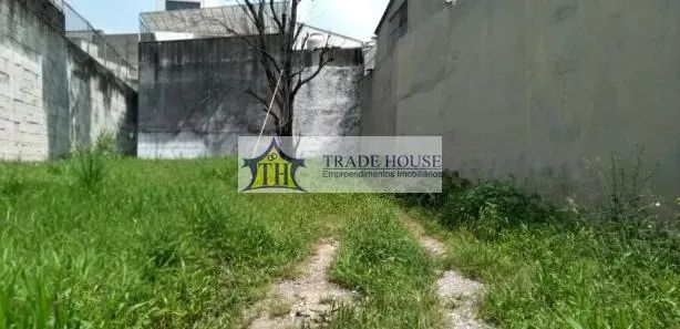 Terreno em Cursino - São Paulo - Foto 4