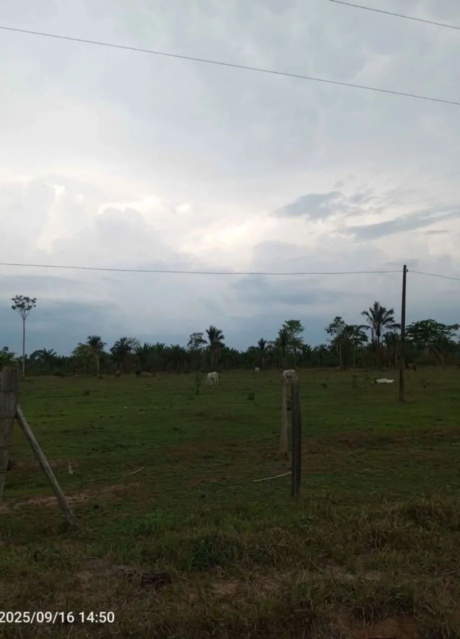 Vendo essa colônia  - Foto 2