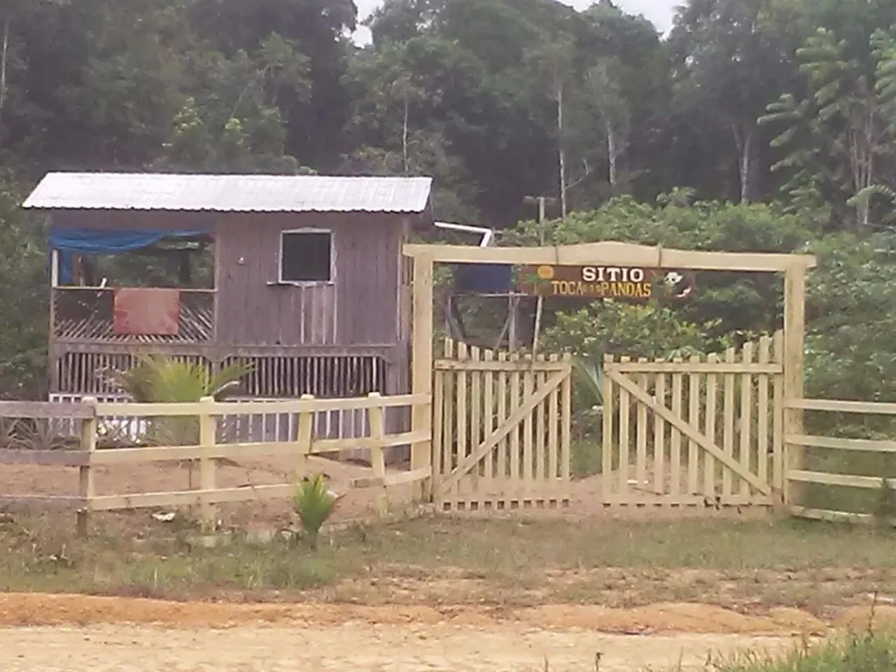 Foto - Manaus - Flores