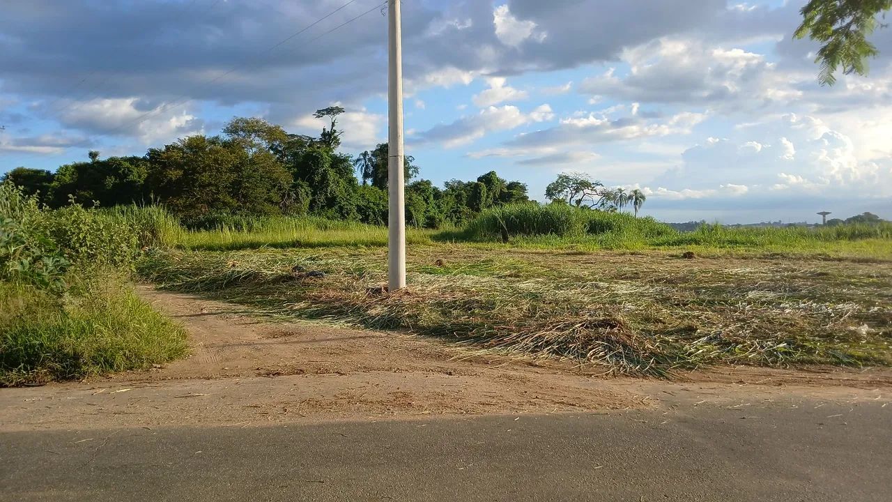 Limpeza de terreno  - Foto 3