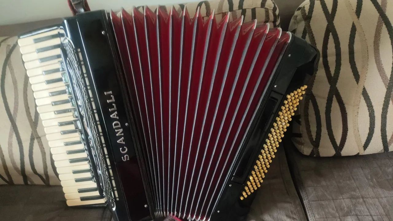 Acordeon 120 - Foto 5