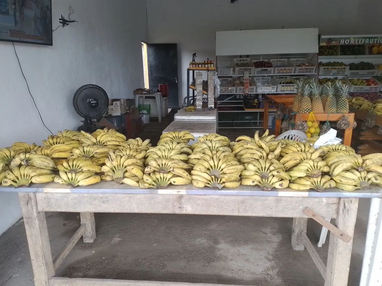 Vendo bananas para revenda - Foto 3