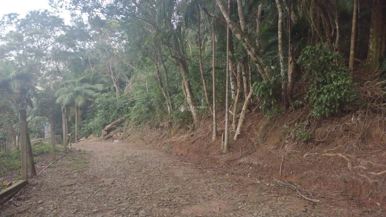Terreno no bairro Pântano do Sul - Foto 2