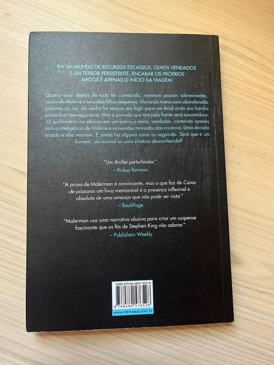 Caixa de Pássaros - Josh Malerman - Foto 2