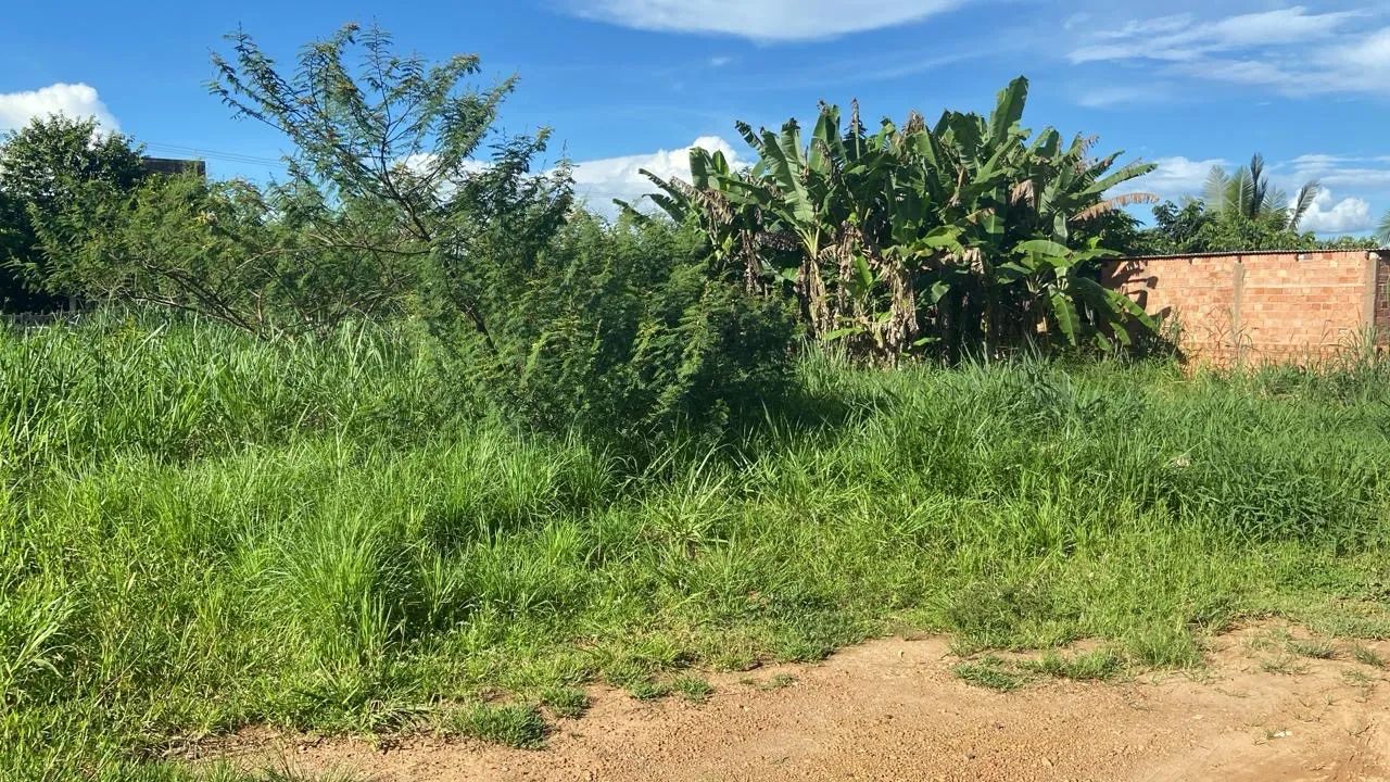 Vendo terreno - Foto 4