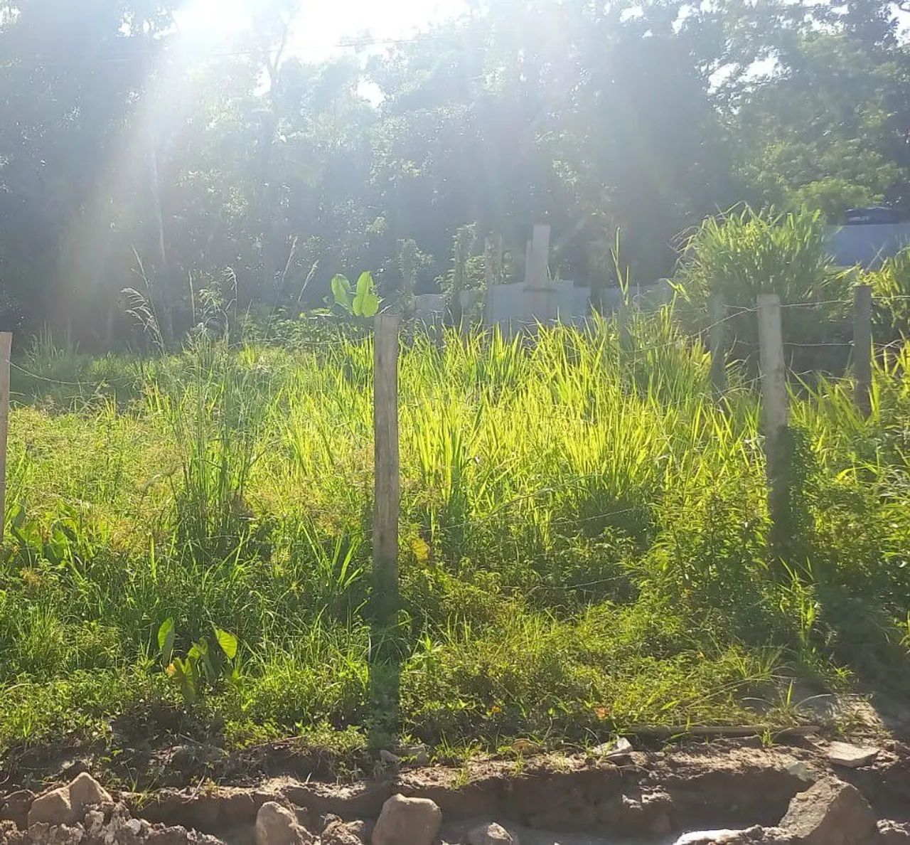 Terreno em Ubatuba  - Foto 3