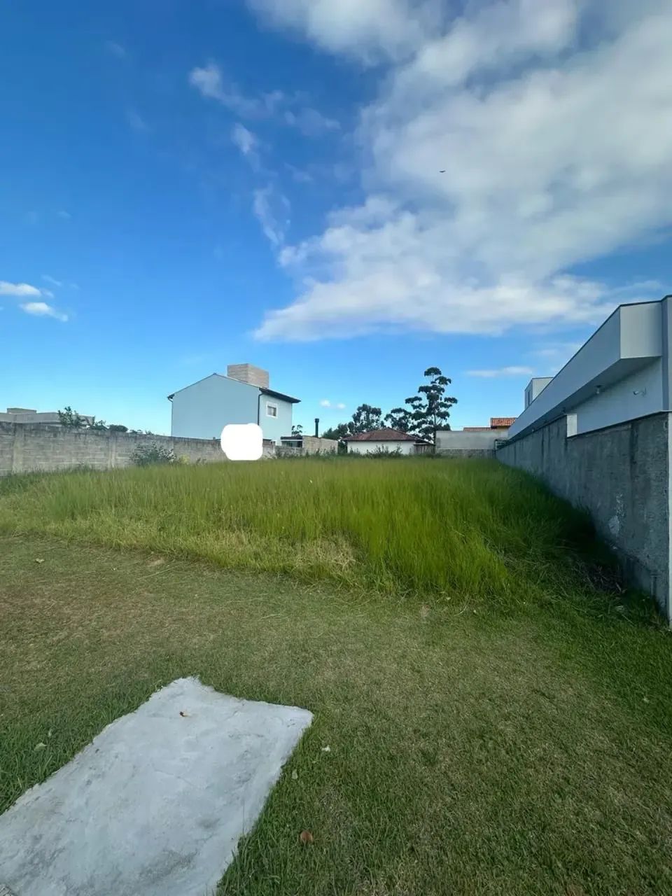 Excelente terreno com Escritura Pública Norte da Ilha - Foto 5