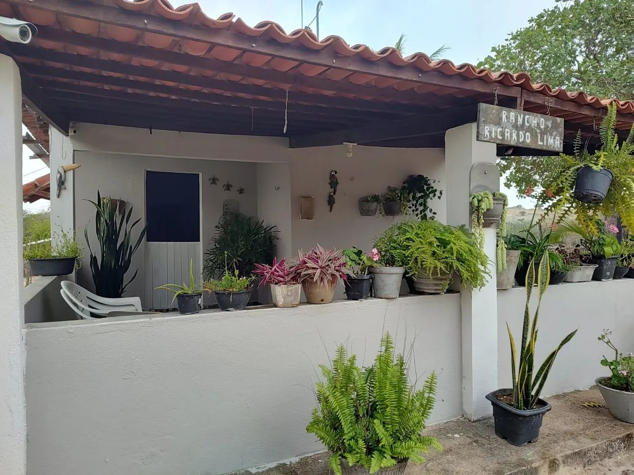 Sitio em Serra de São Bento RN - Foto 3