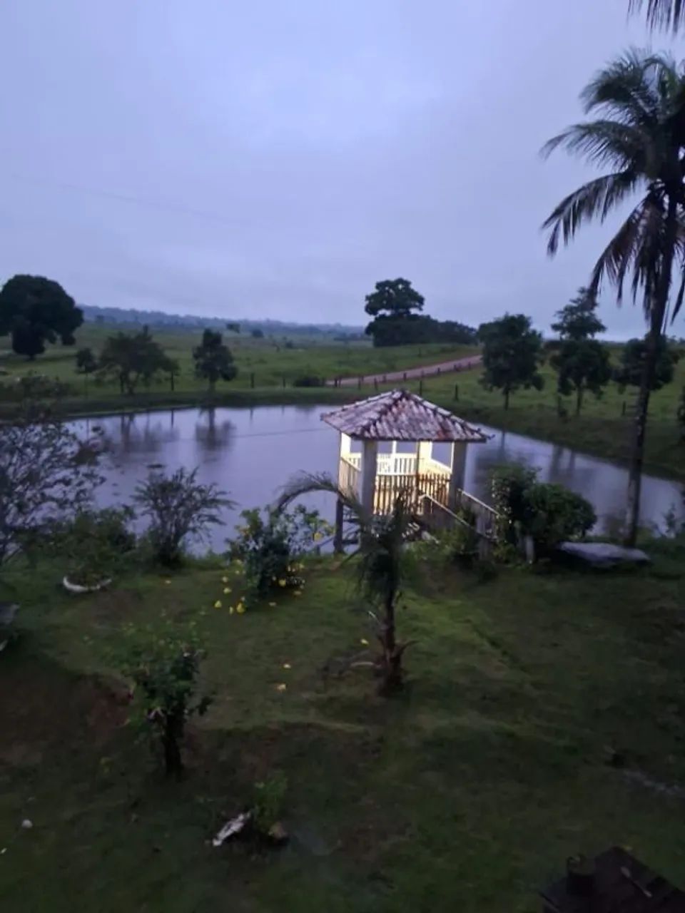 Vende-se Sítio em Ouro Preto do Oeste - RO - Foto 5