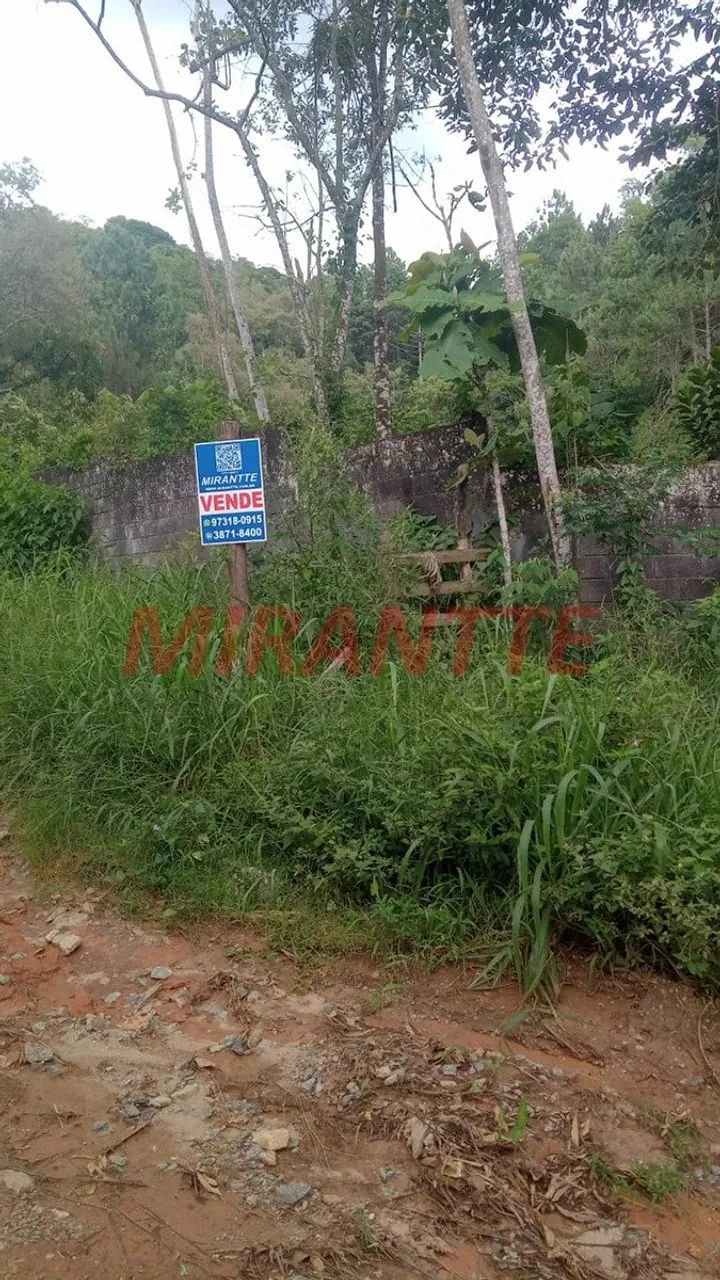Terreno em Boa Vista - Foto 3
