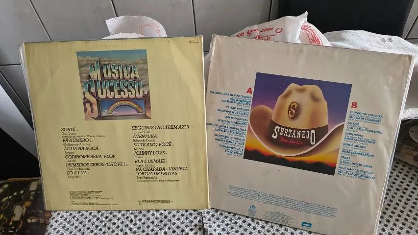 Coleção 2 Discos de Vinil Sertanejo Antigo - Foto 3