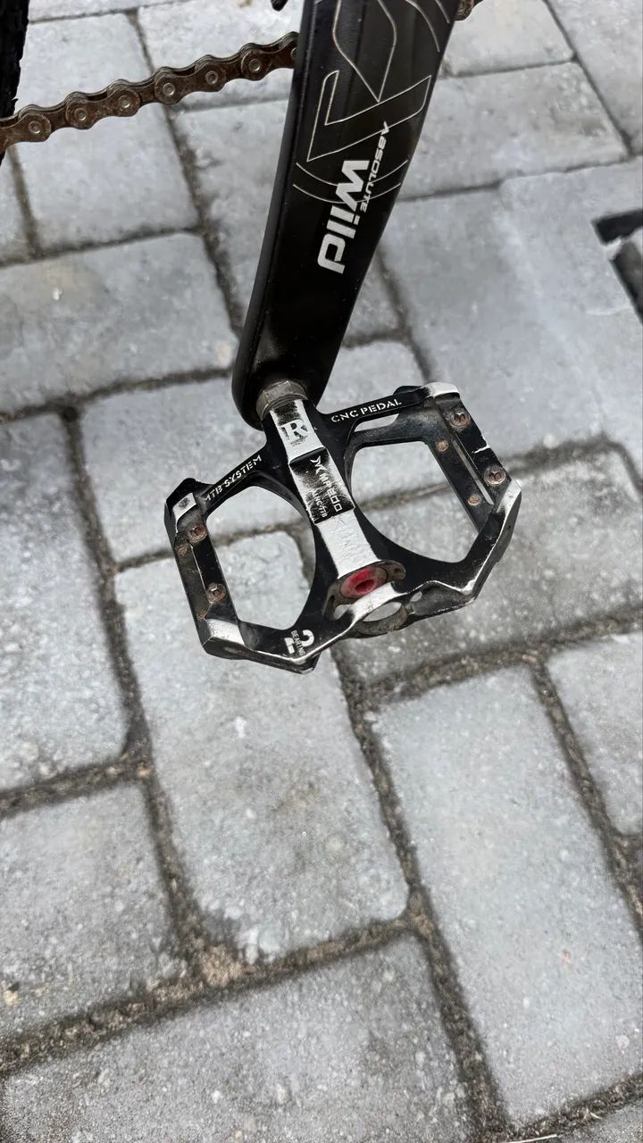 Bicicleta oggi - Foto 5