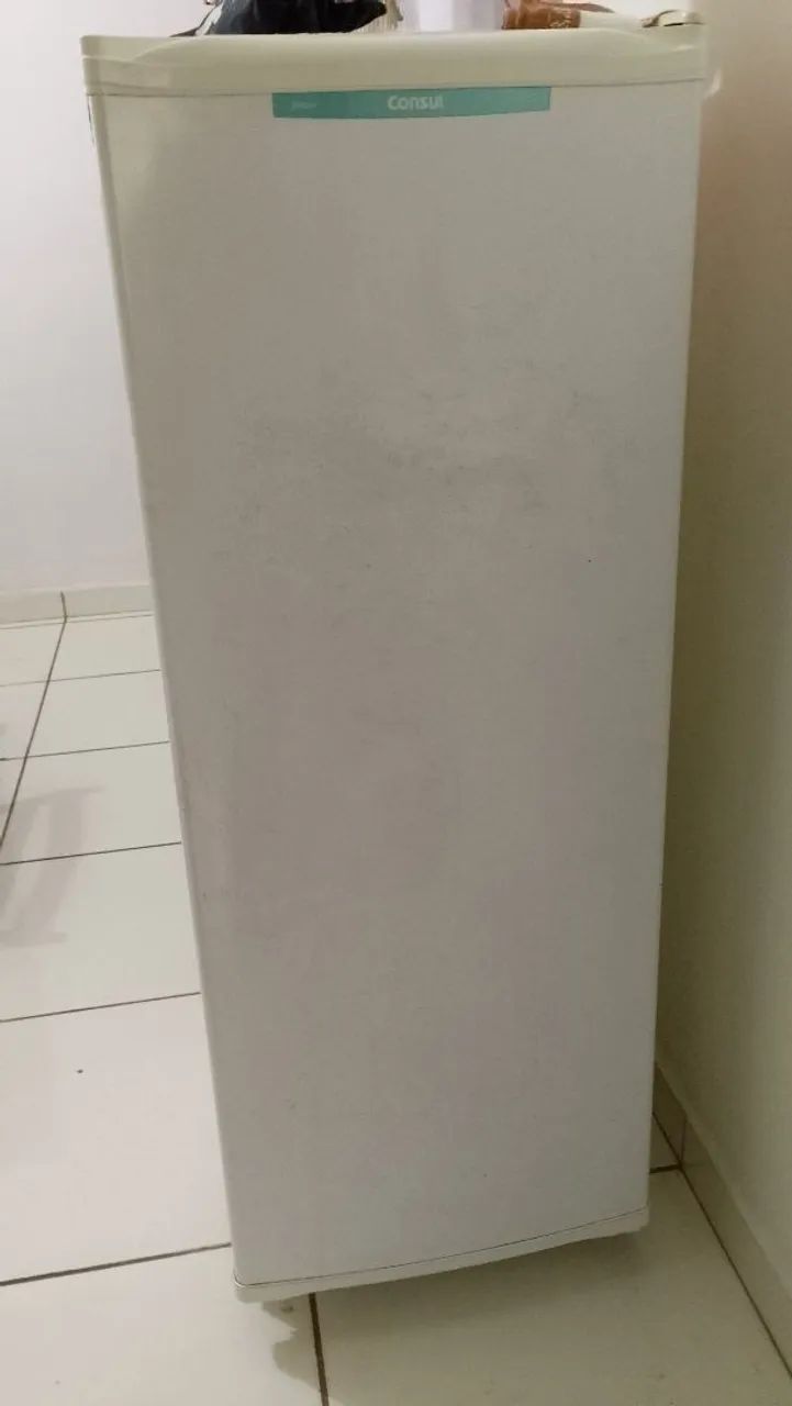 Freezer vertical (180 litros - 110v)