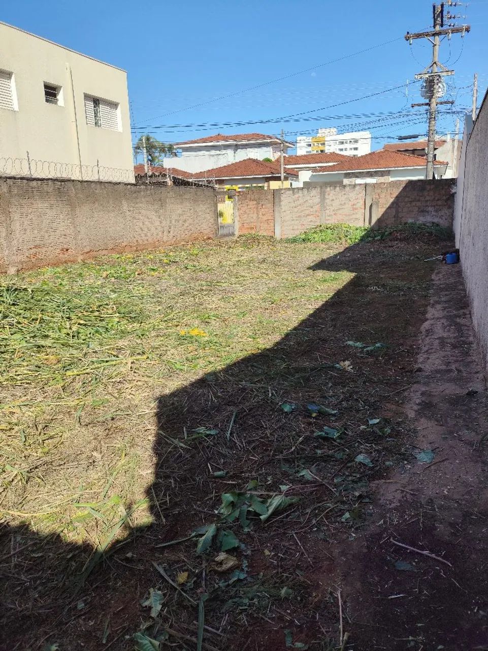Limpeza de terrenos e calçadas com roçadeira costal
