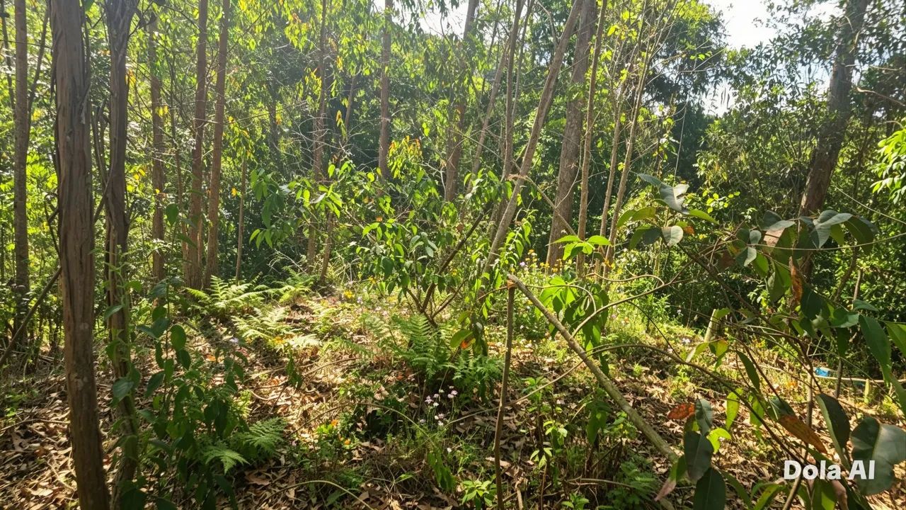 SÍTIOS E CHÁCARAS ESCRITURADOS EM ALTO TIJUCO PRETO- DOMINGOS MARTINS, PARCELO, TROCO LEIA - Foto 8