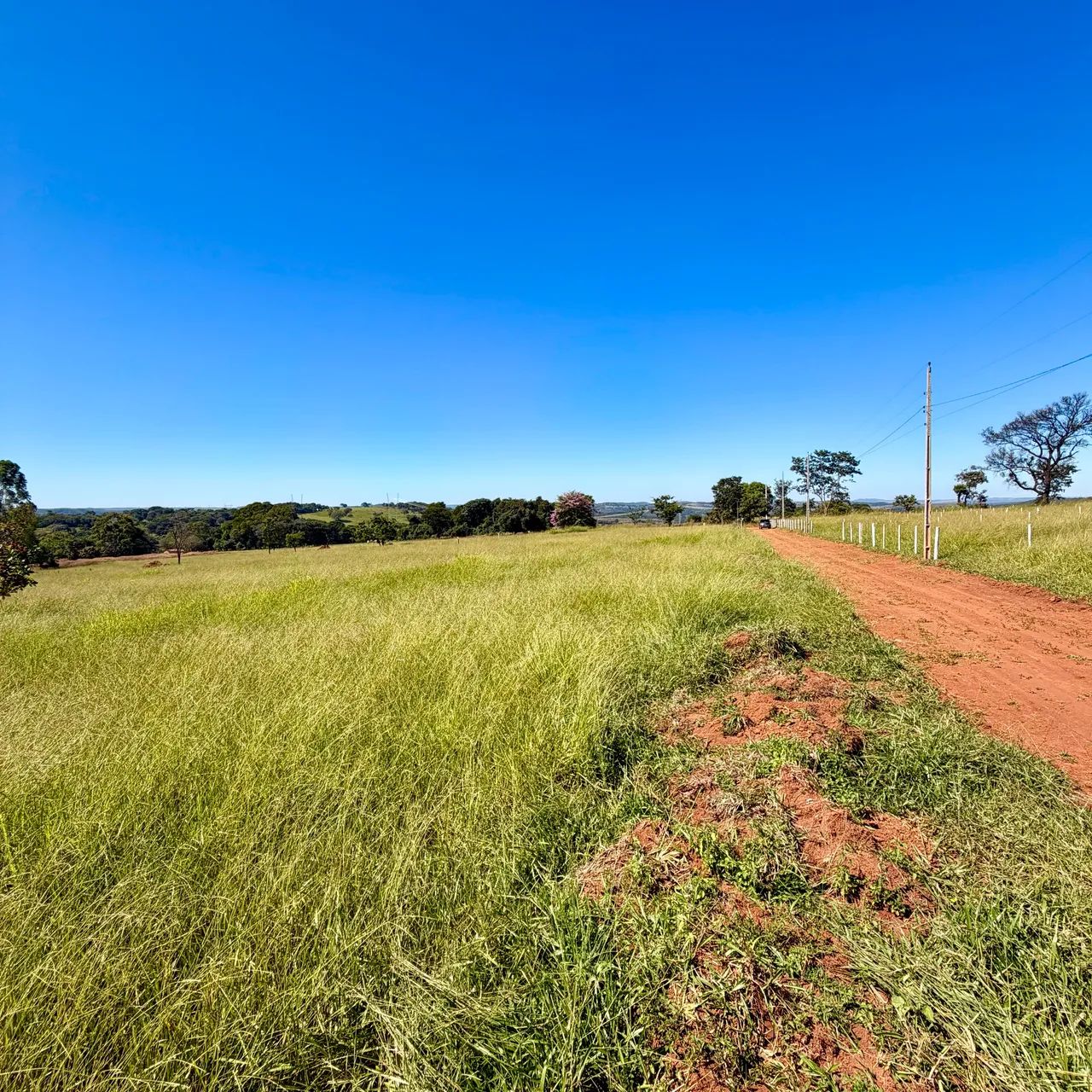 Chácara de 1.000m2 e 2.000m2 à 32 km de Goiânia!  - Foto 5
