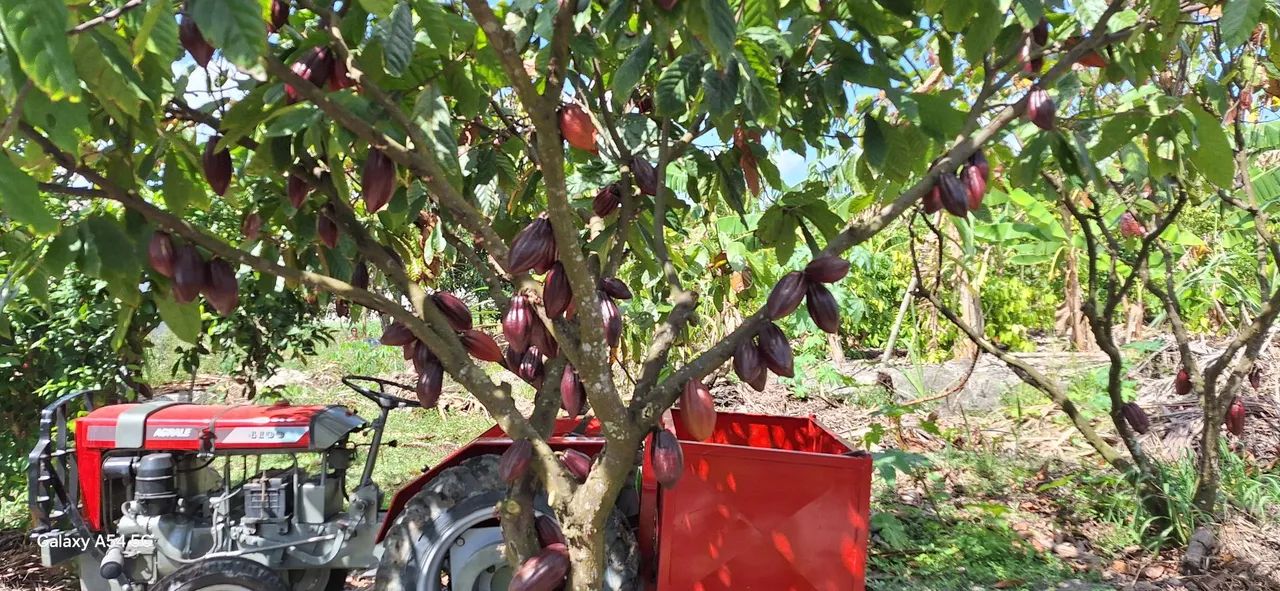 Trator Agrale 4100 Top - Foto 3