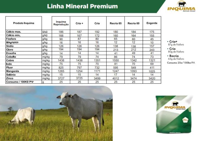SAL MINERAL GADO DE CORTE 