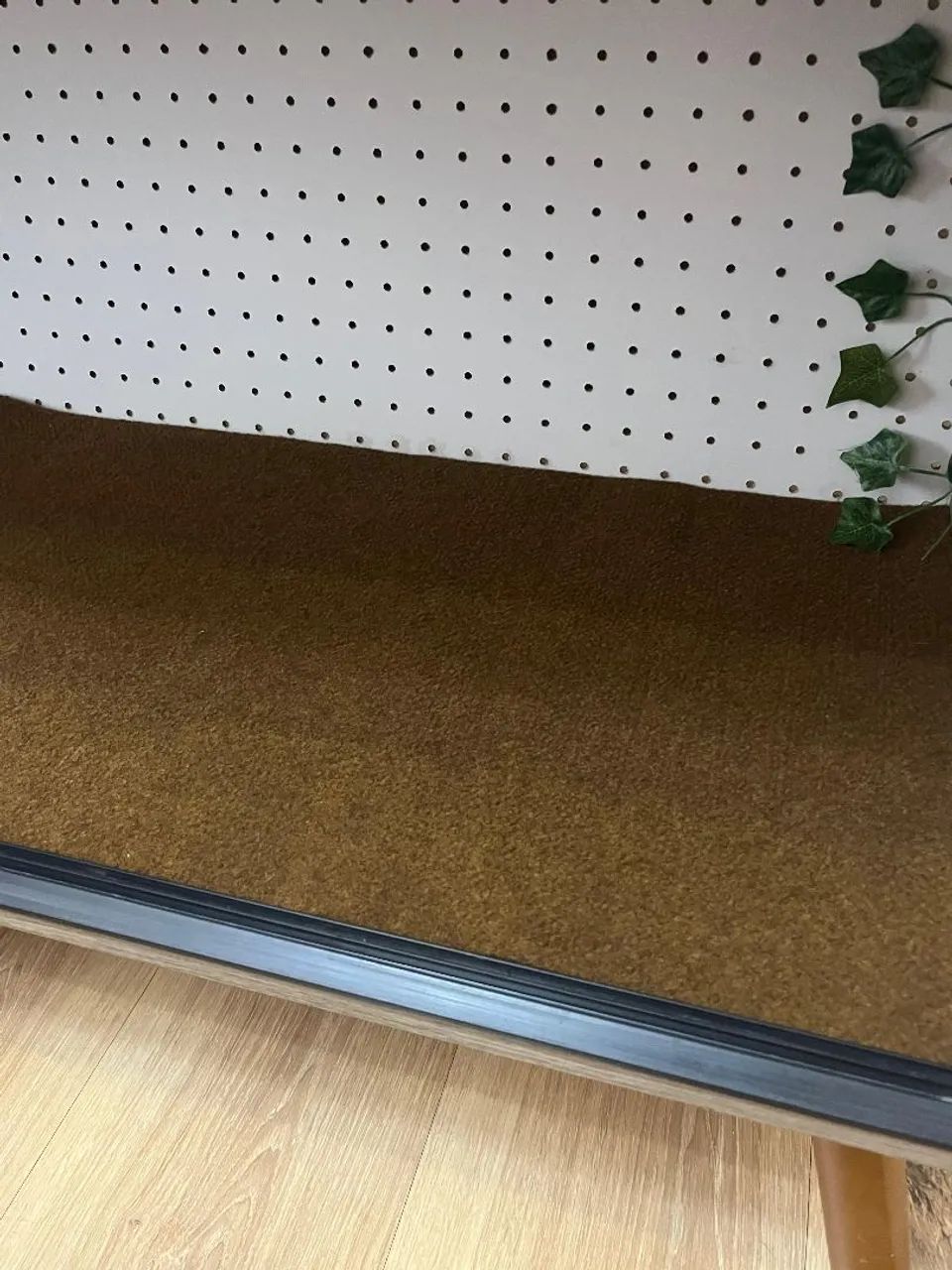 Terrário para répteis  - Foto 2