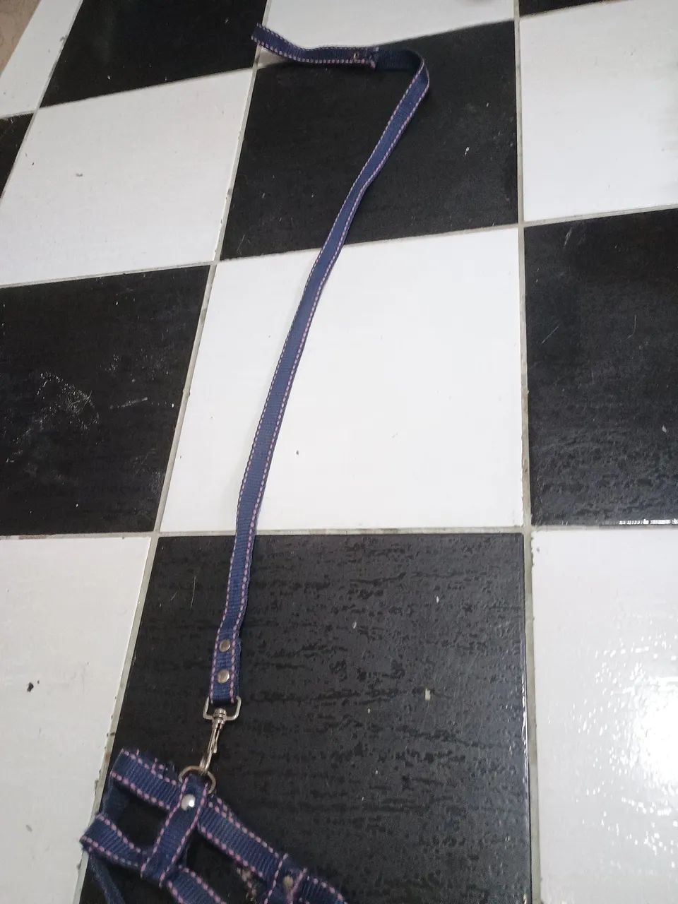 Guaia de cão pq.porte