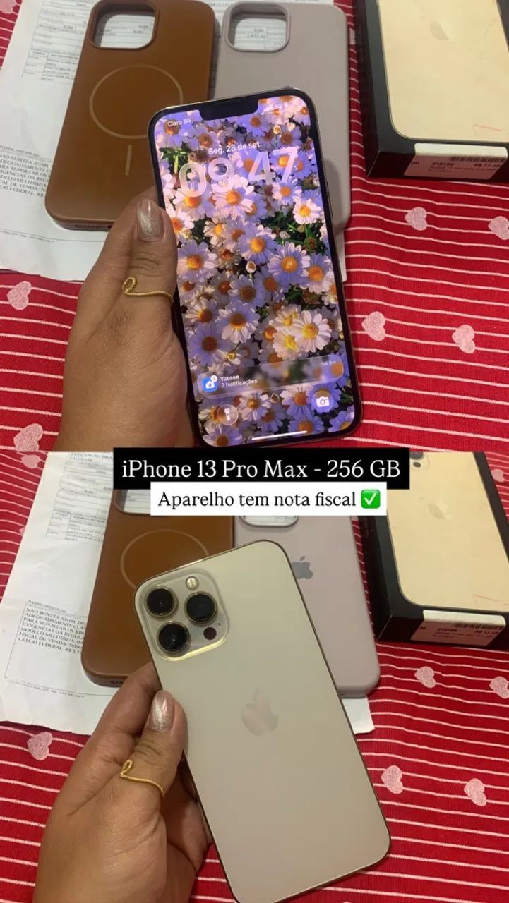 iPhone 13 Pro Max - 256 GB