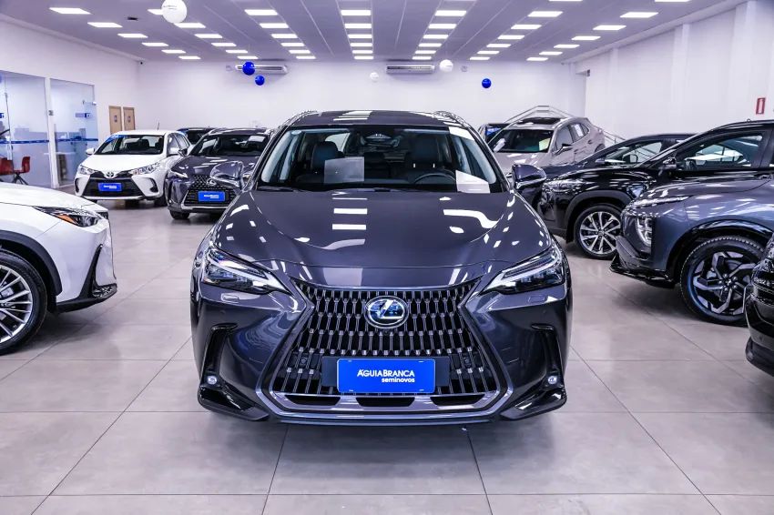 Lexus NX-350h Luxury 2.5 16V Aut. (hybrid), foto 3 de 19