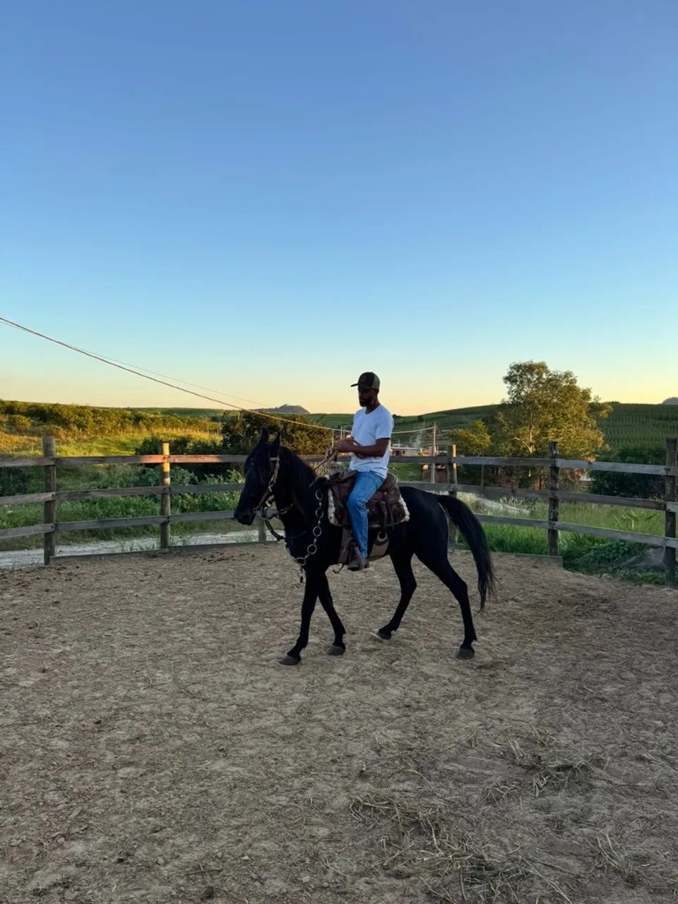 Cavalo - Foto 2