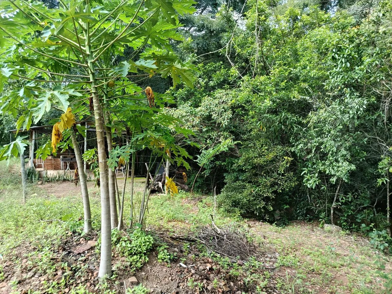 Chácara 3.000 M2, Casa, Rio Sozinha, Fazenda Bonsucesso, Formada, Senador Canedo - Foto 2
