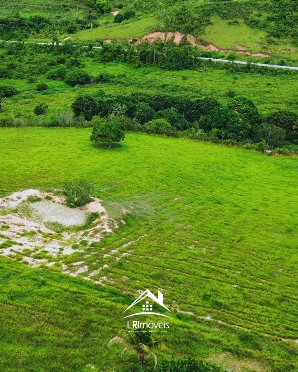 Sítio para Venda em Flexeiras, Zona Rural - Foto 3
