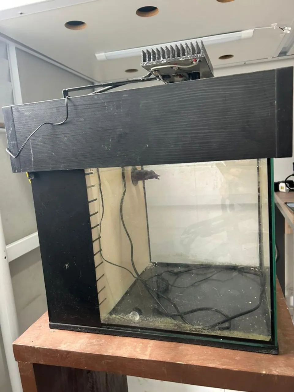aquário 36 litros - Foto 3