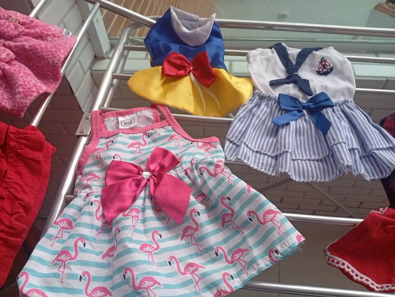 Para o seu pet - Foto 4