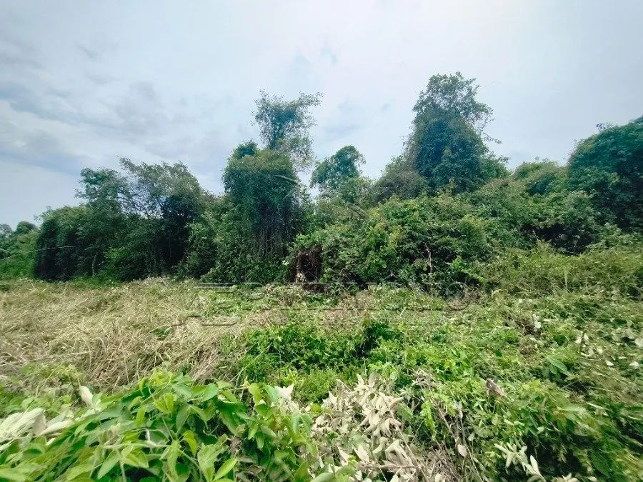 AREA COM 32.837,32M² - EDEN - Foto 5