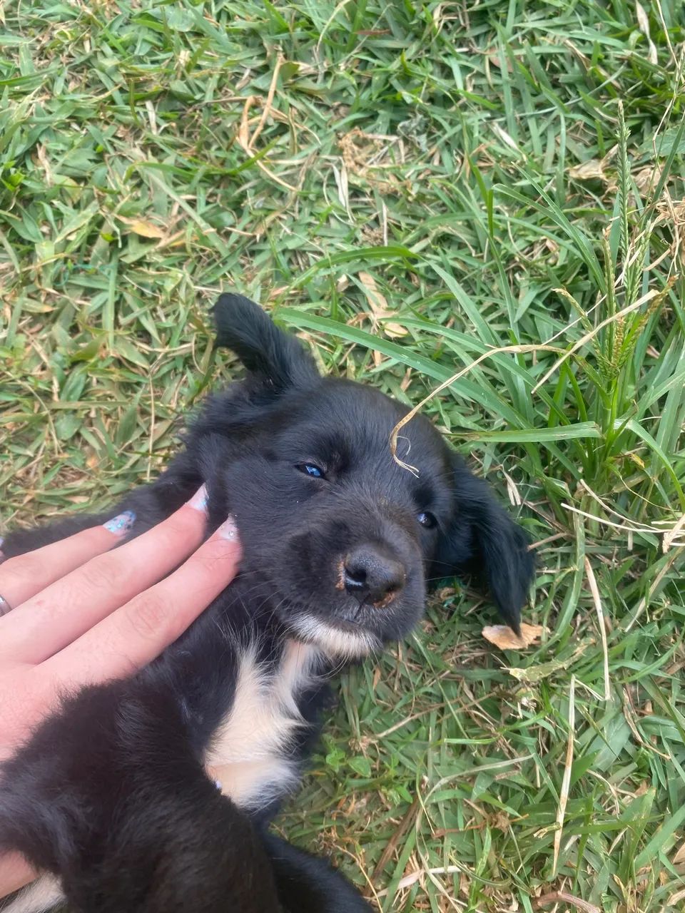 Doação 