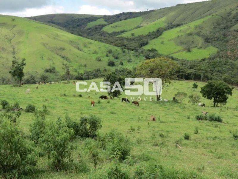 fazenda - Centro - Pimenta - Foto 3