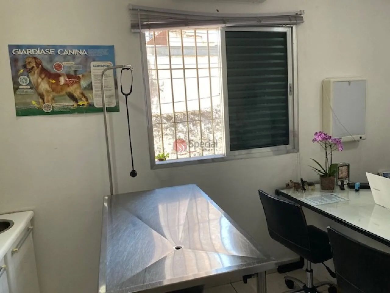 Terreno com 352 m², 7,5X38 em excelente localização - Foto 2