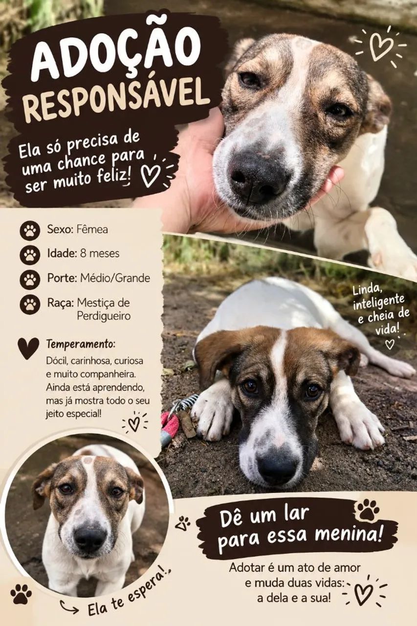 Adoção responsável 