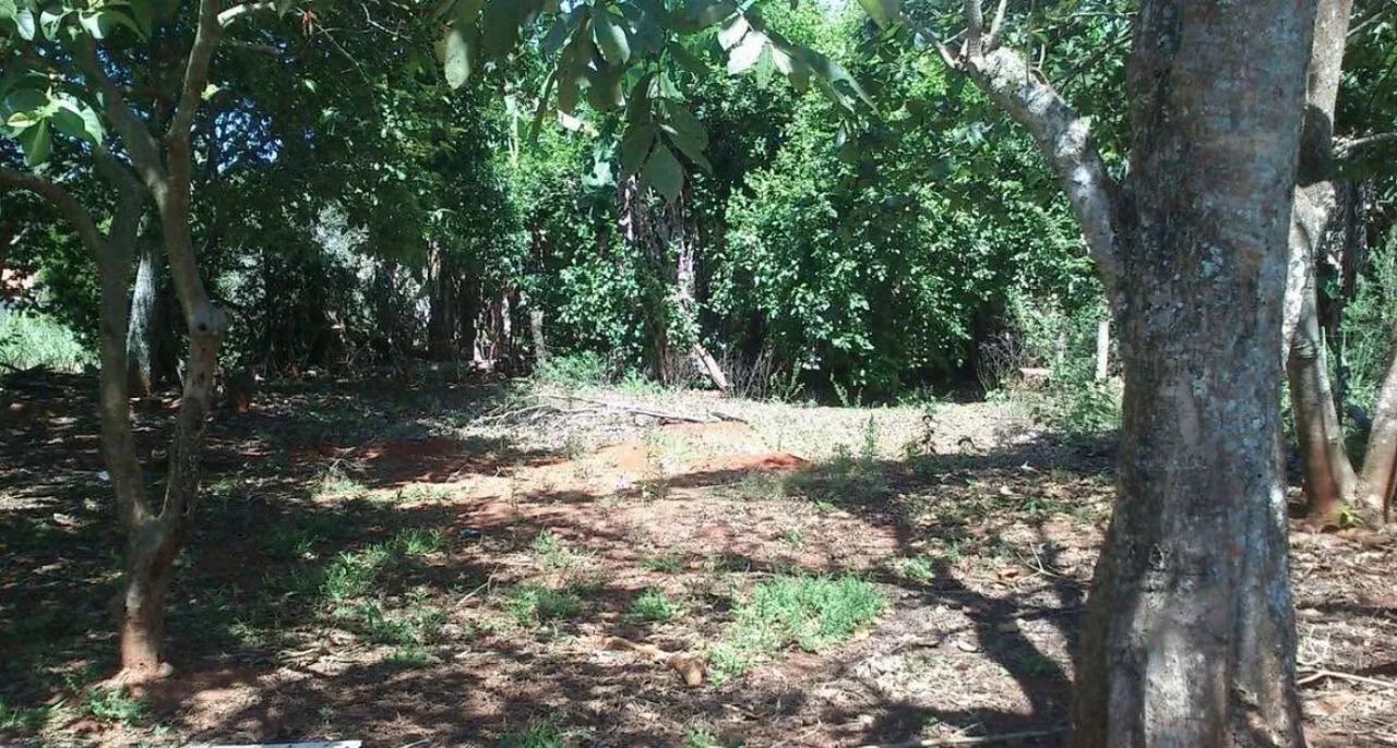 Chácara  - Foto 5