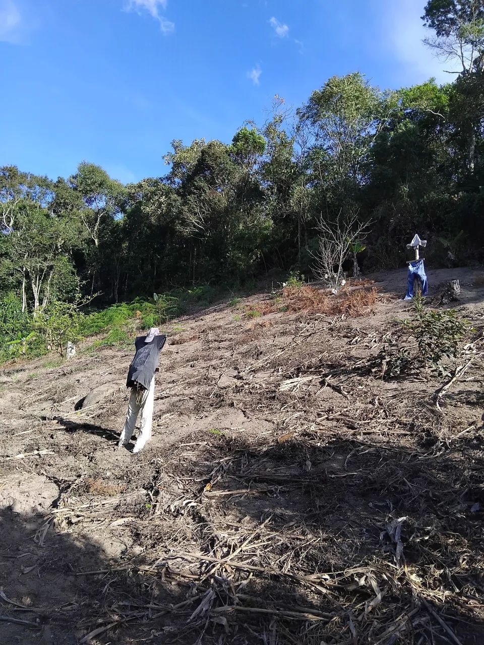 Vendo chácara em Natividade da Serra - Foto 4