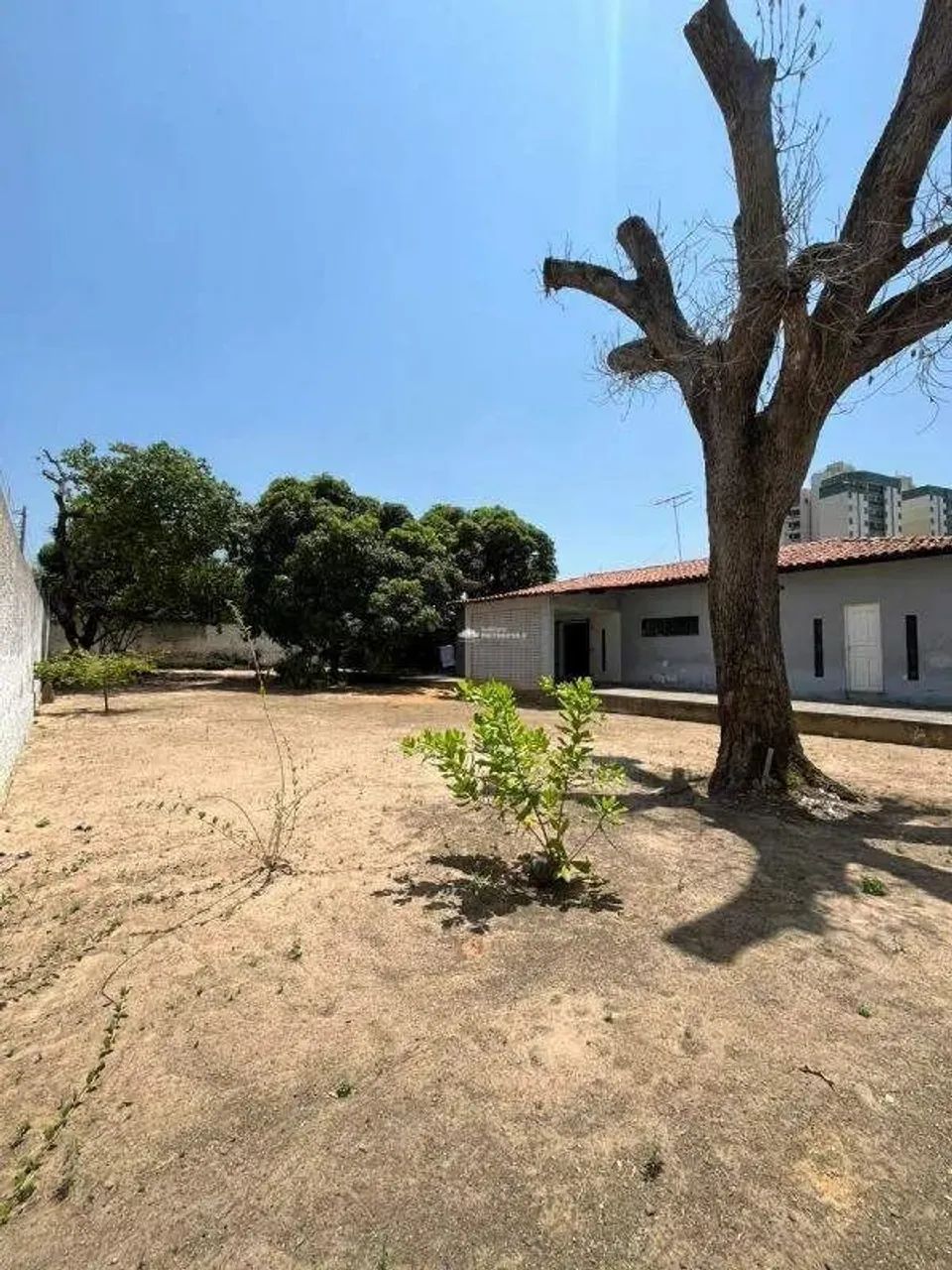 RUA CORONEL COSTA ARAÚJO - BAIRRO: FÁTIMA - Foto 2