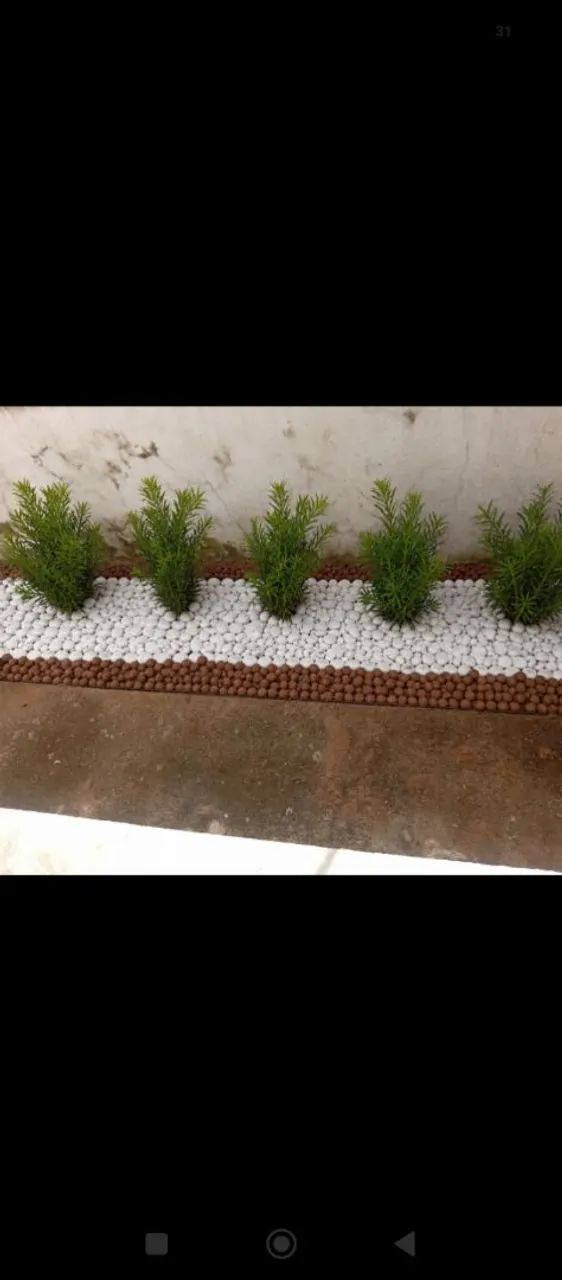 Jardinagem  - Foto 4