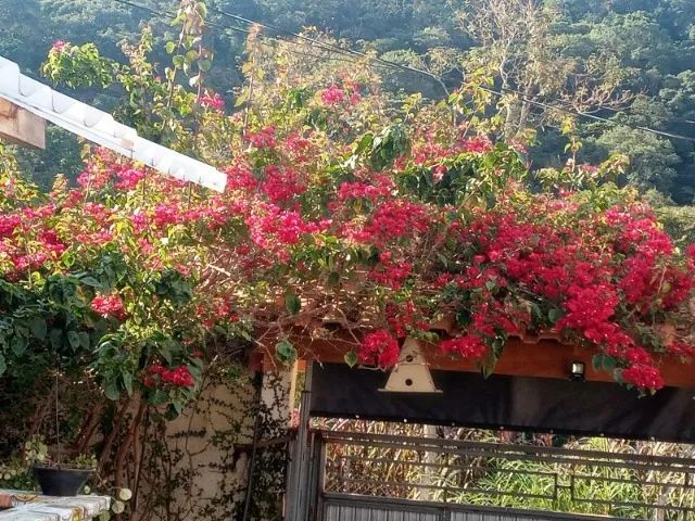 FS0 - Casa em Barra de Jacuípe 620m² e 2/4 - Foto 3
