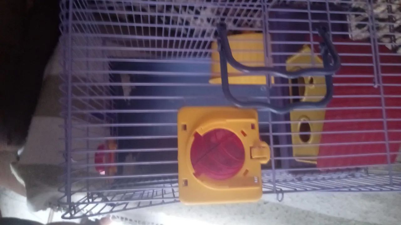 Gaiola adaptada pra Ramsters  - Foto 4