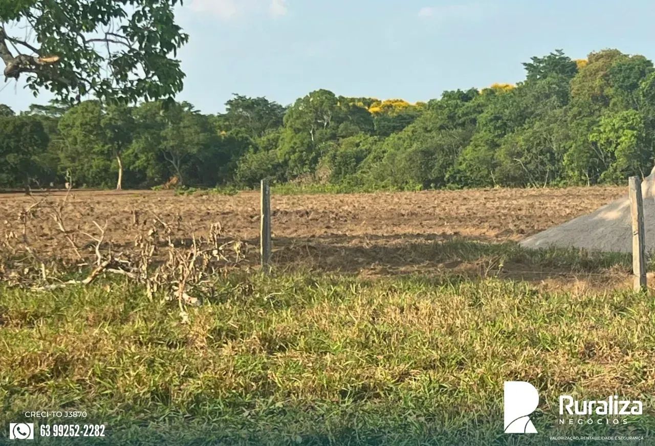 INVESTIMENTO RURAL | ALTA PRODUTIVIDADE E ESTRUTURA COMPLETA - Foto 3
