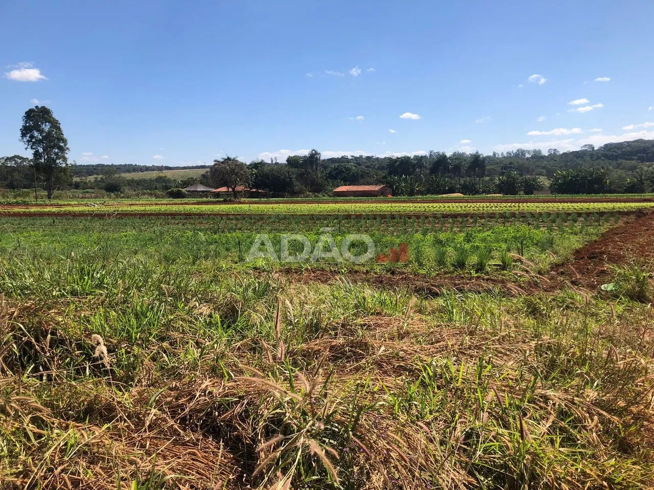 Área com 114.000 saída da Ethernit alta valorização - Foto 3