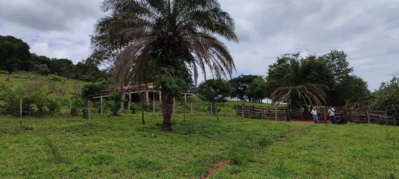 Fazenda em caldazinha 