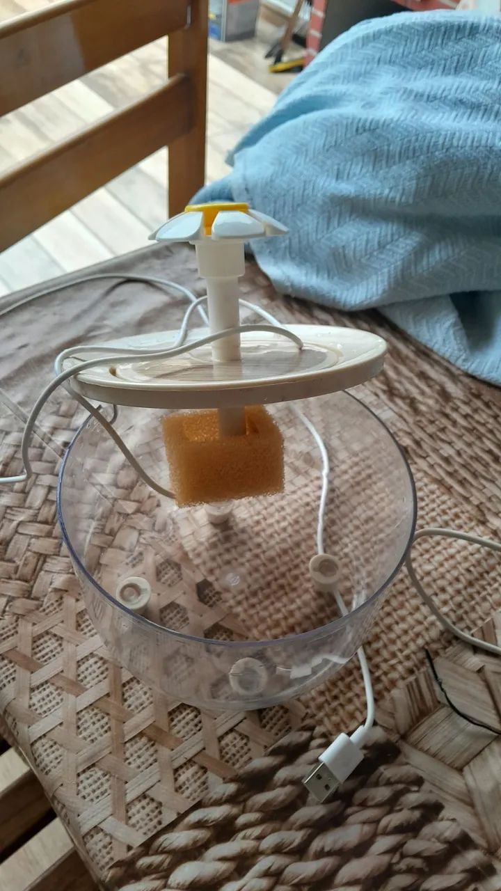Bebedouro de gato 