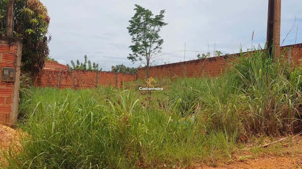 Lote - 450 m² - Plano Diretor Sul - Foto 4