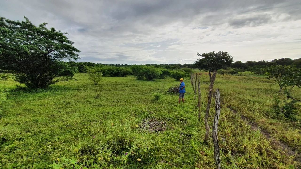 Terreno 12 hectares com açude  - Foto 3